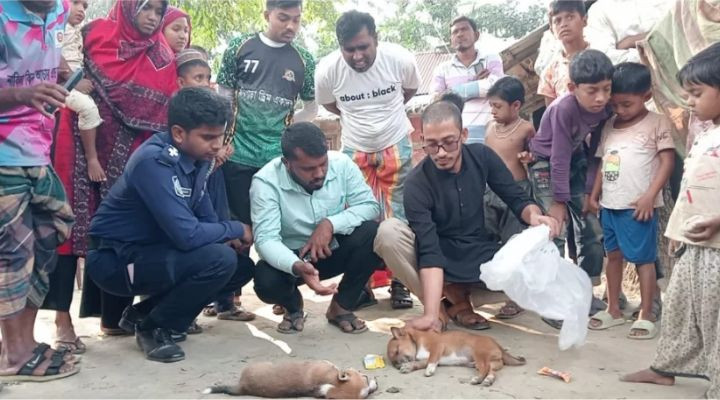 কুকুরছানা পিটিয়ে হত্যার ঘটনায় নারীর বিরুদ্ধে মামলা